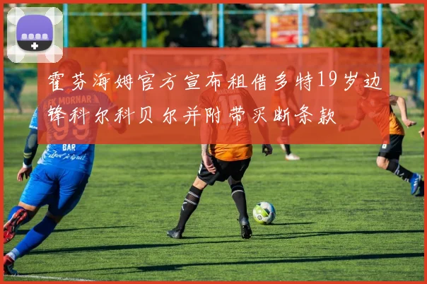 霍芬海姆官方宣布租借多特19岁边锋科尔科贝尔并附带买断条款